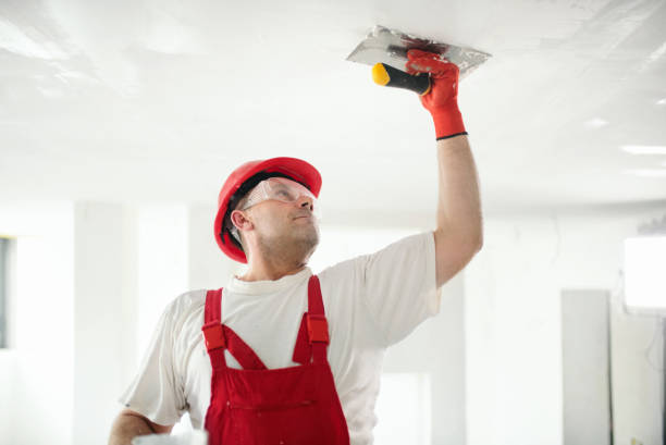 Trusted Westby, WI Drywall & Painting Services Experts